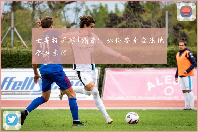 世界杯买球1指南：如何安全合法地参与竞猜