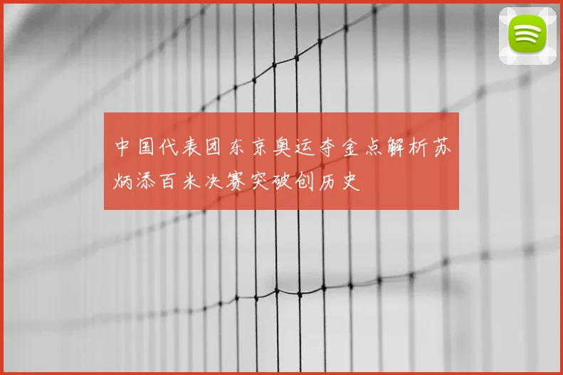 中国代表团东京奥运夺金点解析苏炳添百米决赛突破创历史