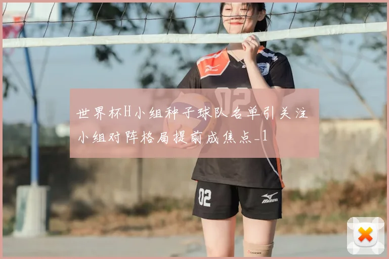 世界杯H小组种子球队名单引关注 小组对阵格局提前成焦点_1