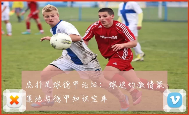 虎扑足球德甲论坛：球迷的激情聚集地与德甲知识宝库