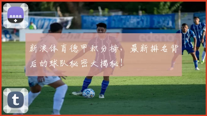 新浪体育德甲积分榜，最新排名背后的球队秘密大揭秘！