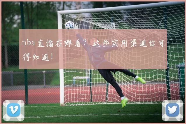 nba直播在哪看？这些实用渠道你可得知道！