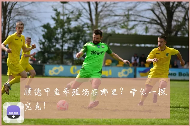 顺德甲鱼养殖场在哪里？带你一探究竟！